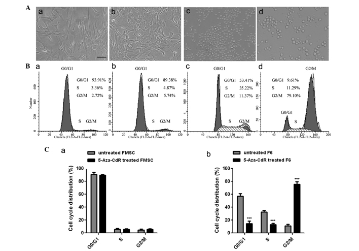 Figure 4.