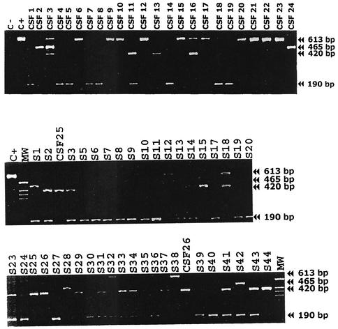 FIG. 1.