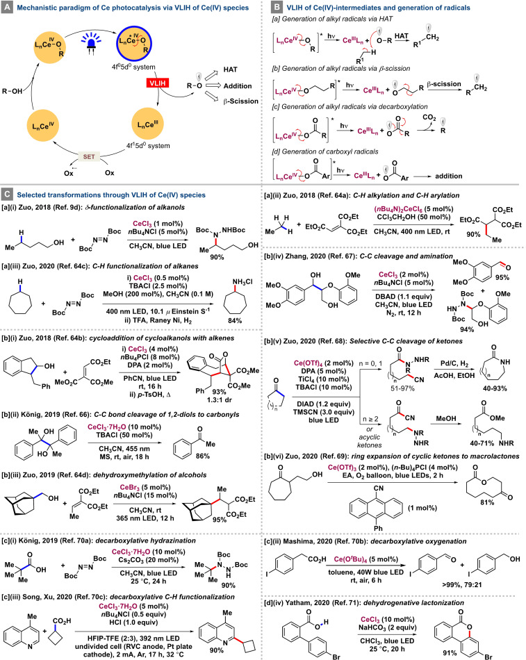 Scheme 6