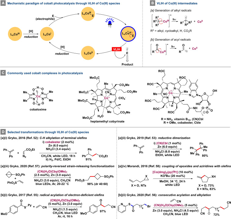 Scheme 5