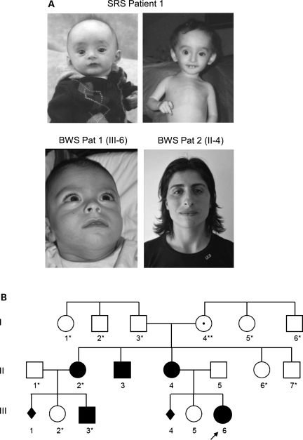 Figure 1.