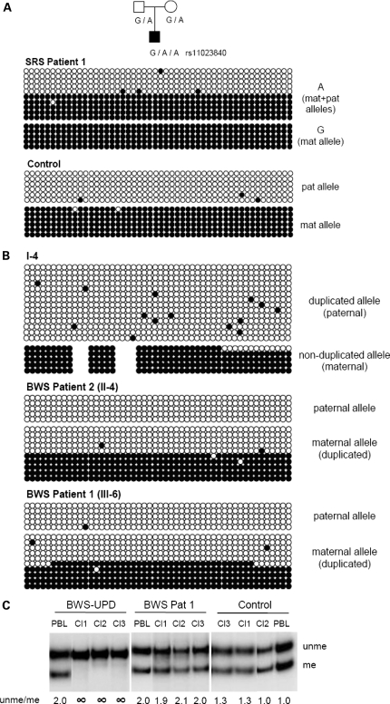 Figure 5.