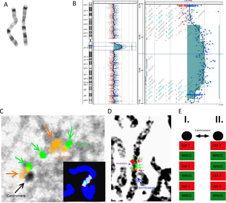 Fig. 2