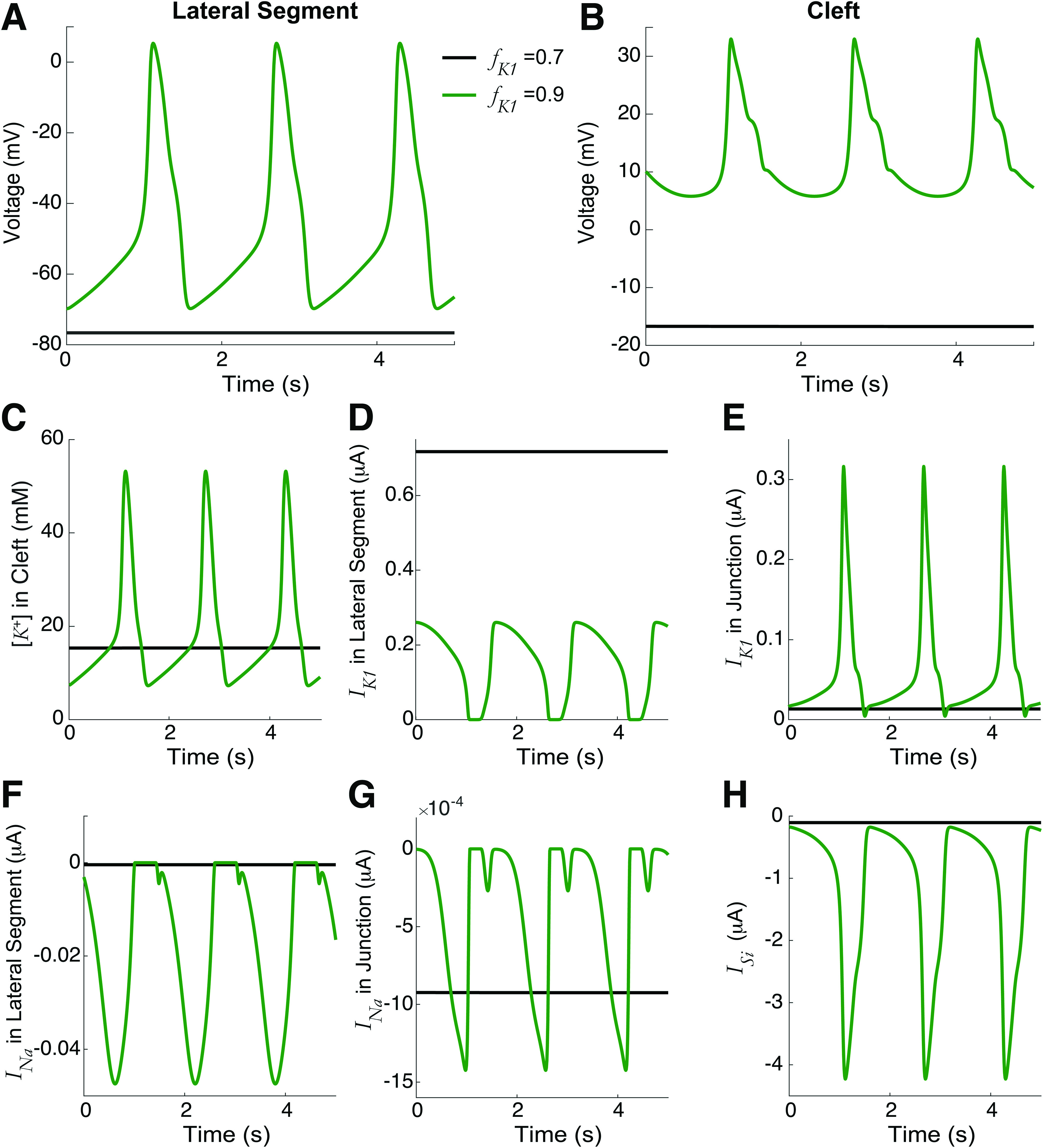 FIG. 2.