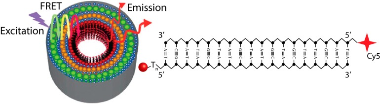 Figure 14