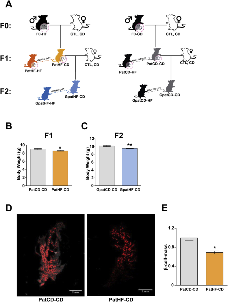 Figure 1