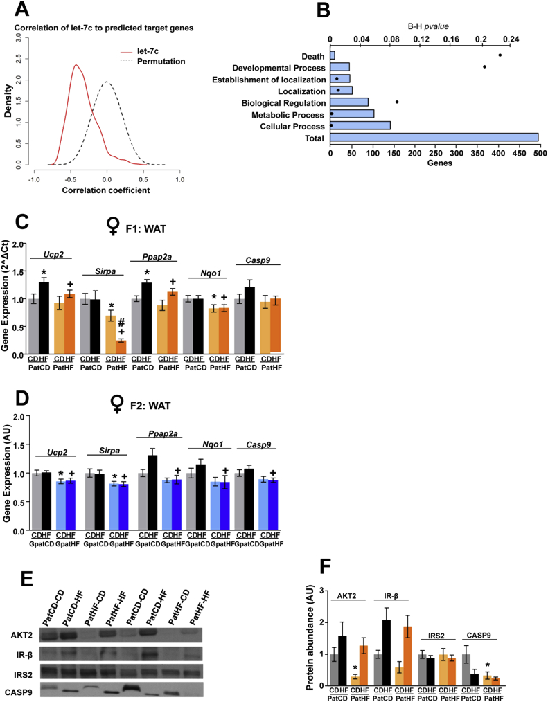 Figure 6