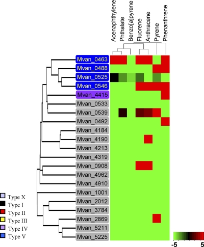 Fig. 8.