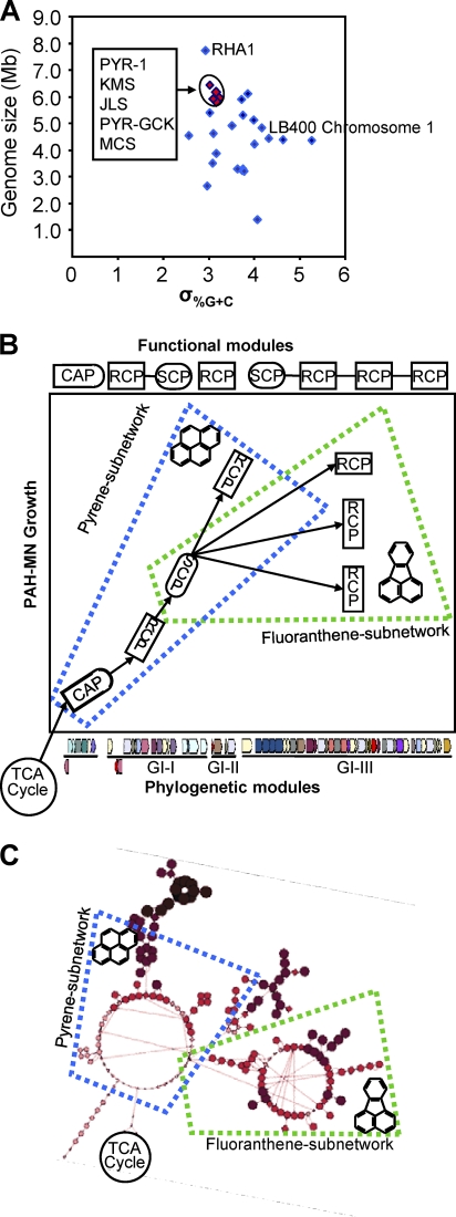 Fig. 7.