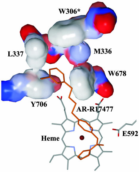 Fig. 3.