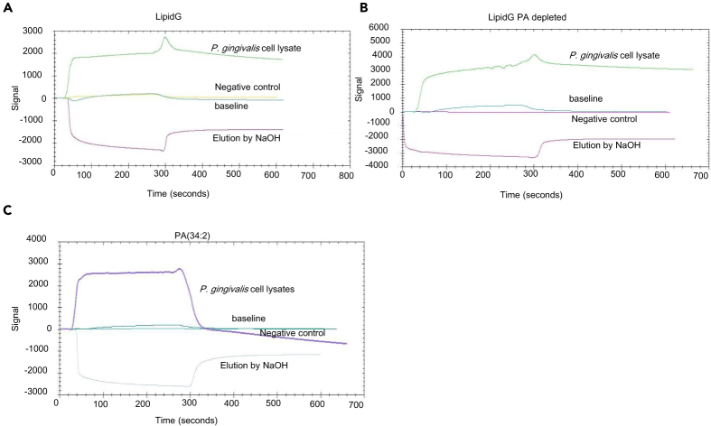 Figure 3