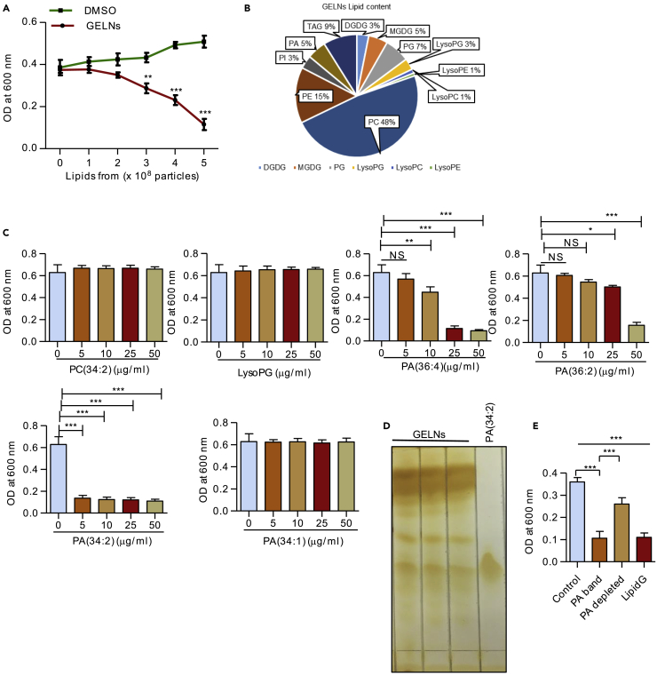 Figure 2