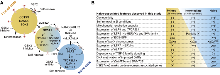 Figure 6