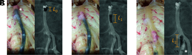 FIG 3.