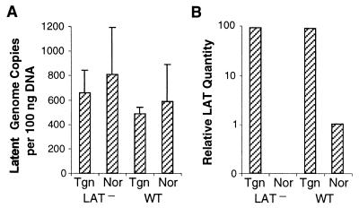 FIG. 6