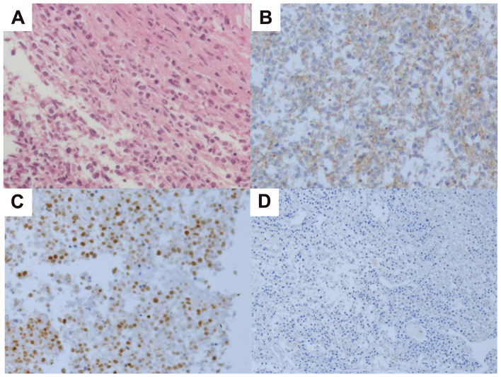 Figure 4.