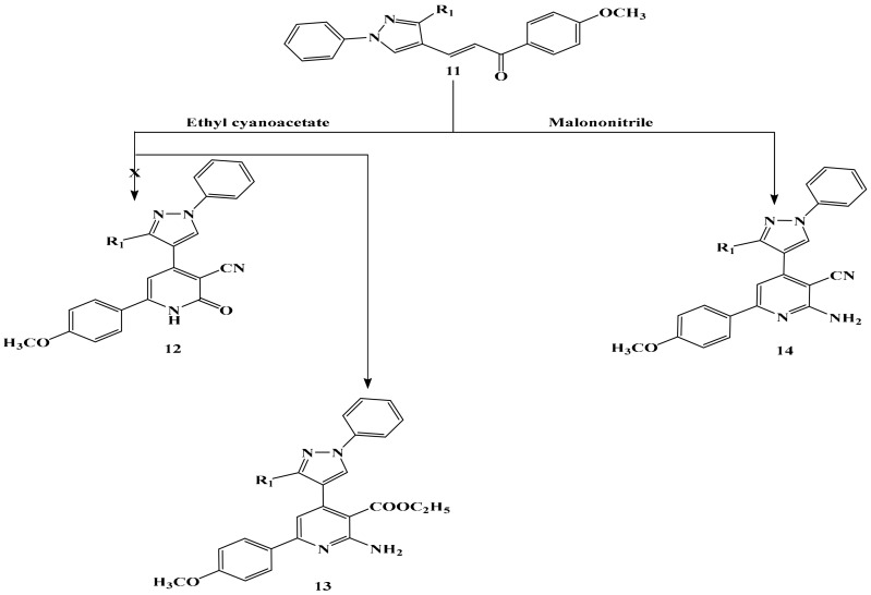 Scheme 5