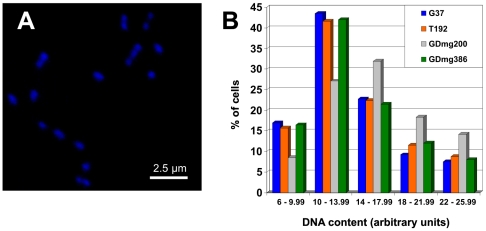 Figure 9