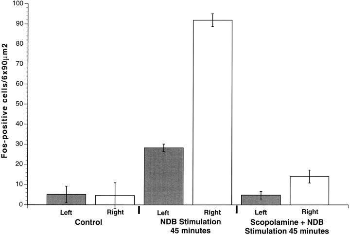 Fig. 9.