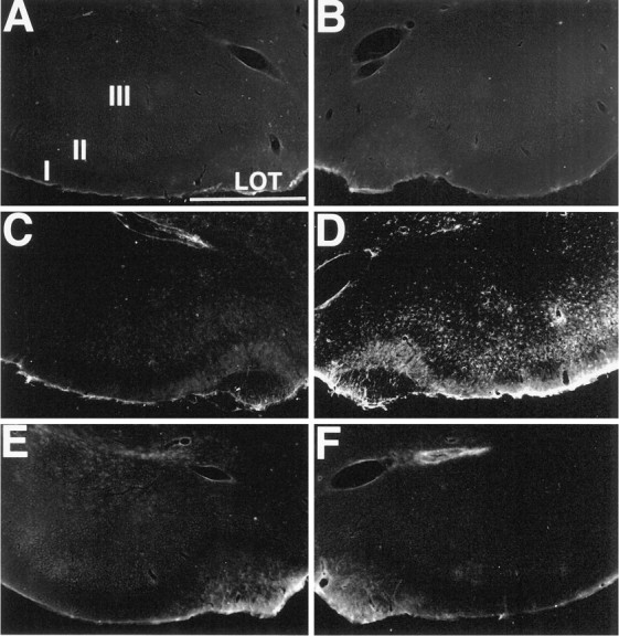 Fig. 10.