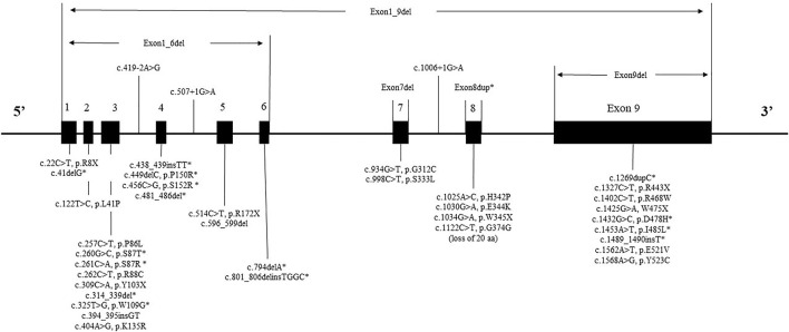 FIGURE 2