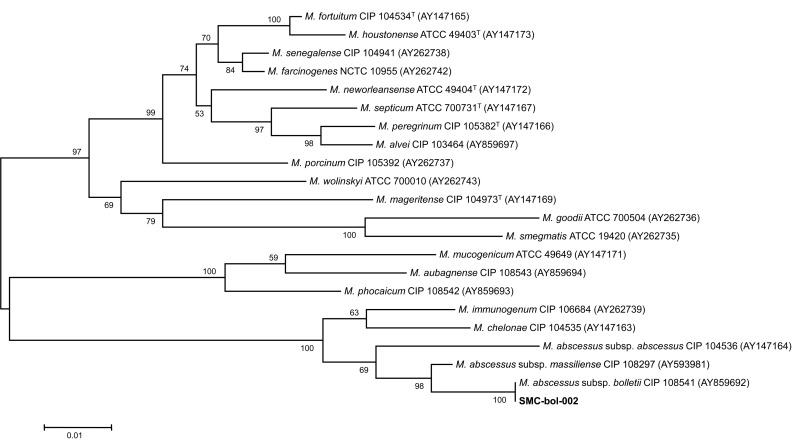 Figure 2