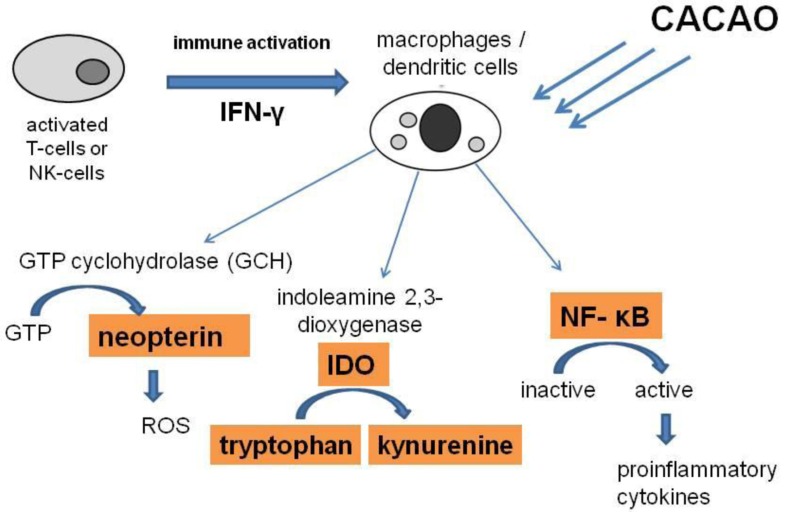 FIGURE 4