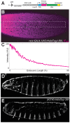 Figure 1—figure supplement 4.