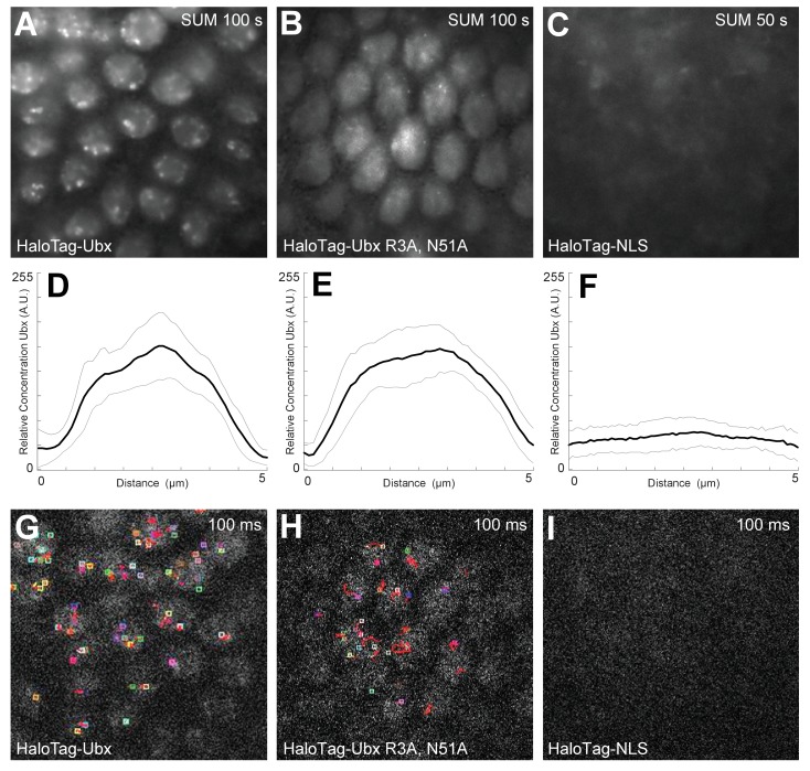 Figure 1—figure supplement 7.