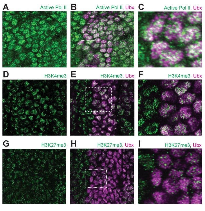 Figure 1—figure supplement 3.