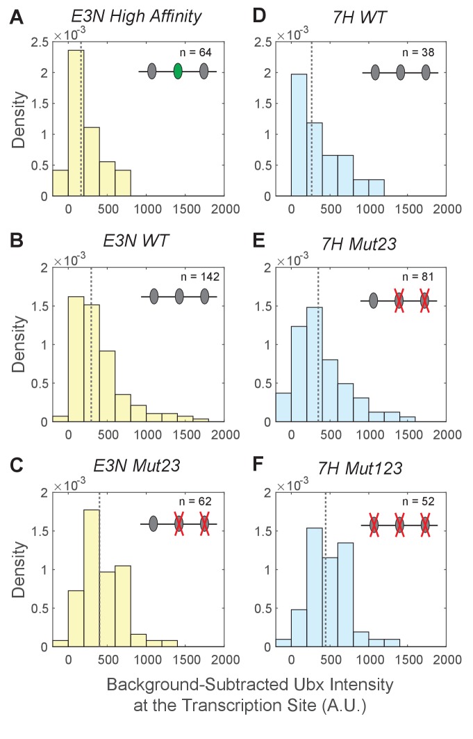 Figure 3—figure supplement 1.