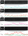 Figure 1—figure supplement 5.