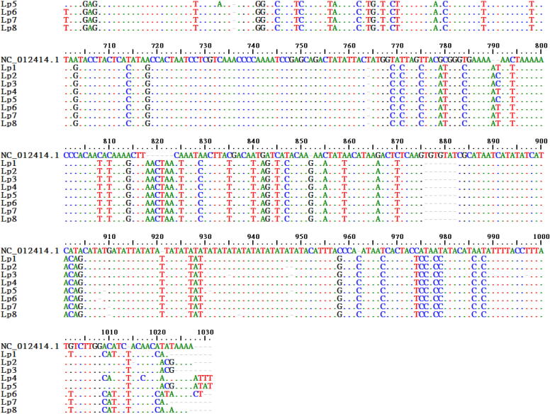 Fig. 3