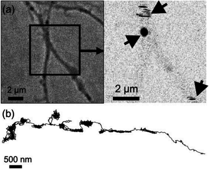 Figure 17