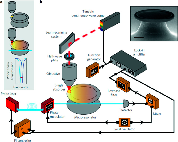 Figure 21