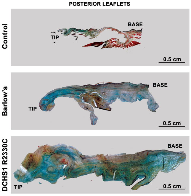 Extended Data Figure 5