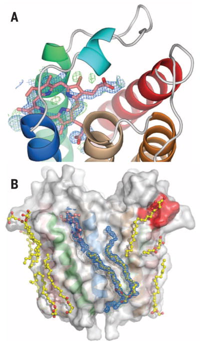 Fig. 4