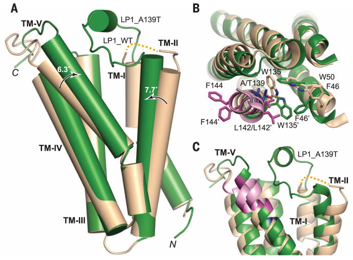 Fig. 3