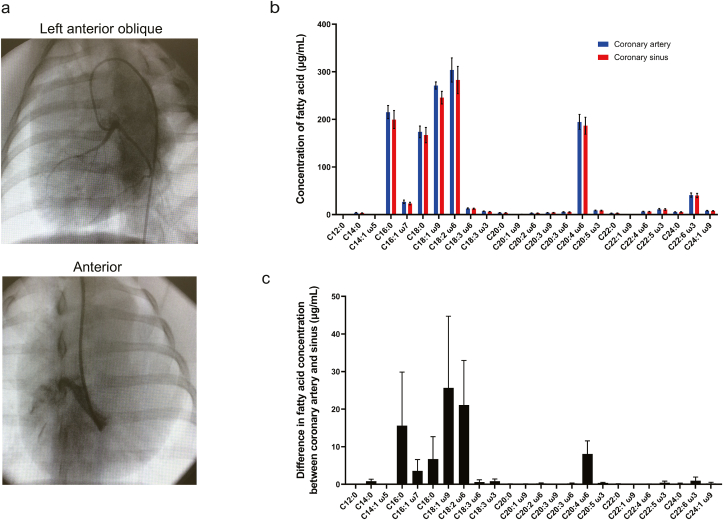 Fig. 3