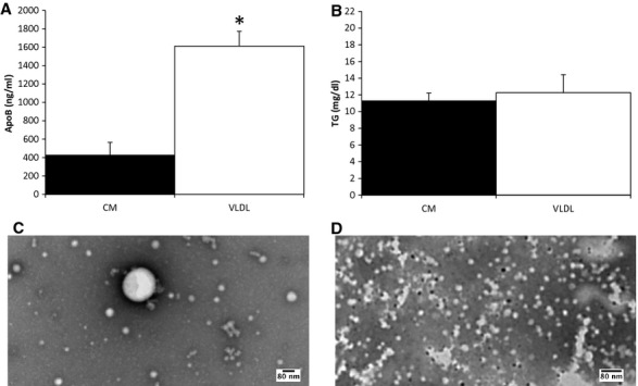 Figure 5.