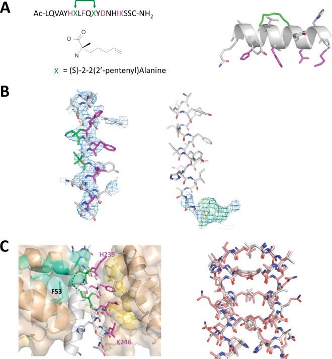 FIG 3