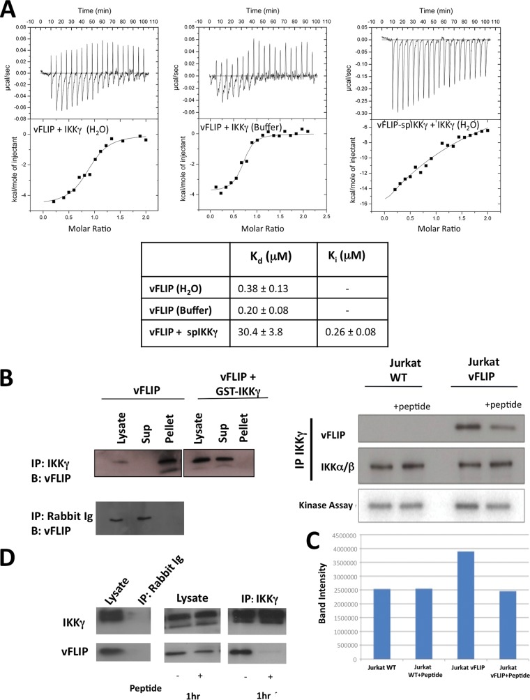 FIG 4