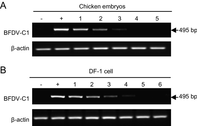 Fig. 4