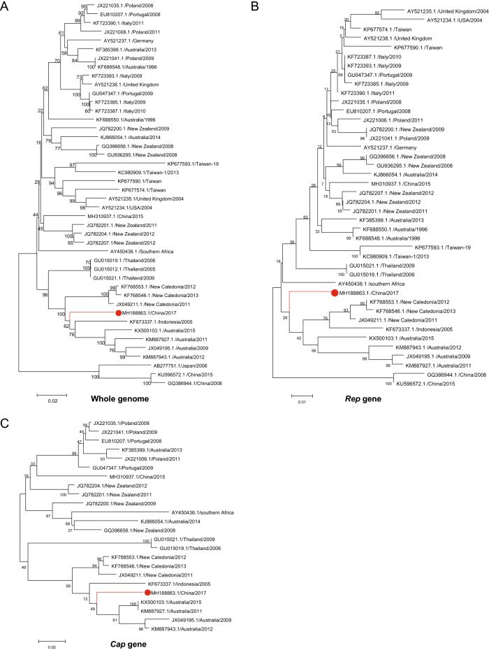 Fig. 3