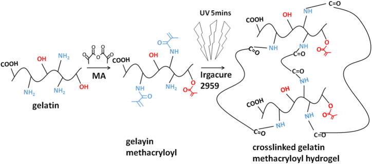 FIGURE 2