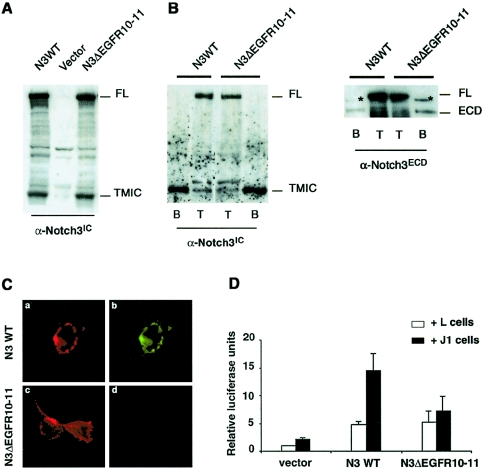 Figure  1