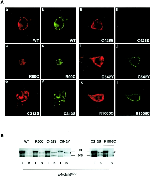 Figure  3