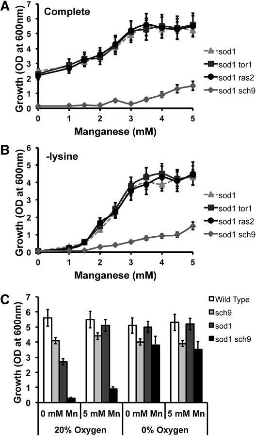 Figure 4 