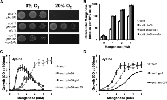 Figure 5 