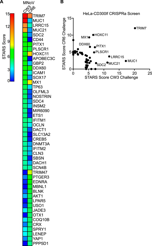 FIG 2